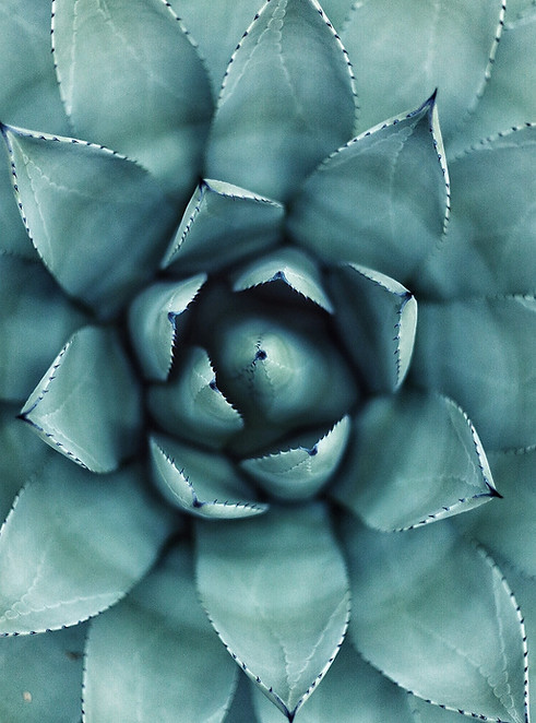 Image by Erol Ahmed