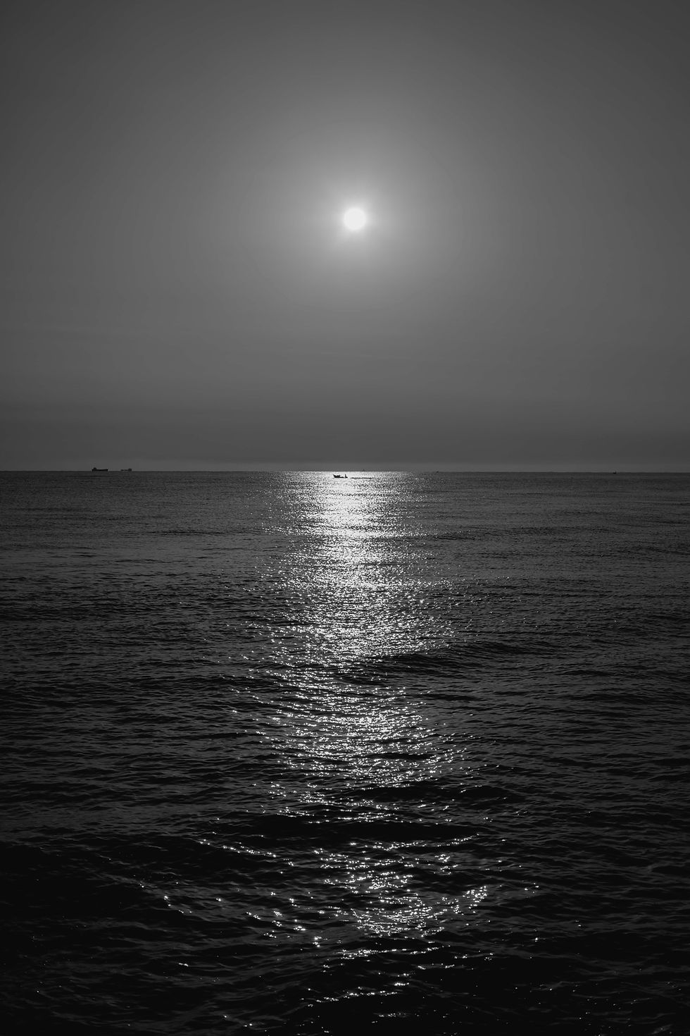 Image by Mohammadreza Charkhgard