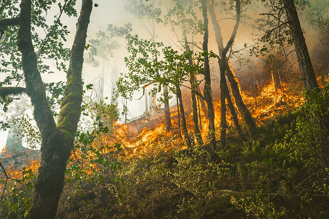 The Climate Change Action That Could Deliver US$26 Trillion in Economic Benefits