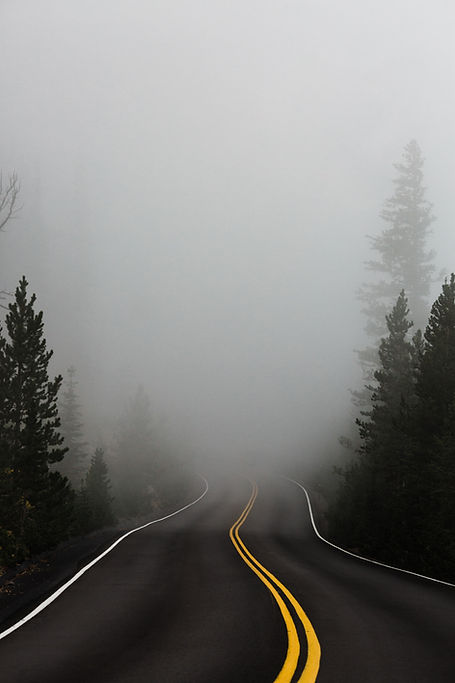 Image by Katie Moum