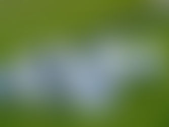 How AI Golf Fitting Actually Saves You Money