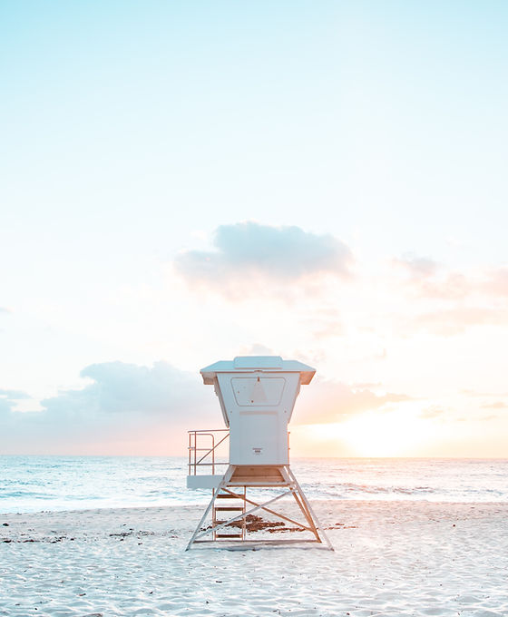 Image by Jamie Davies