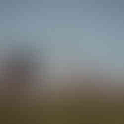 A bicycle parked in a green meadow with the snow-capped peak of Mount Hermon visible in the distant background.