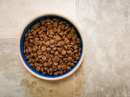 Simple bowl of brown dog kibble on a beige tiled floor, illustrating a common carbohydrate-rich feeding style.
