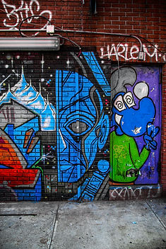 Image by Tom Dillon
