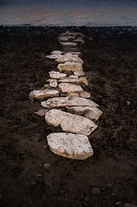 Image by Patrick Hendry