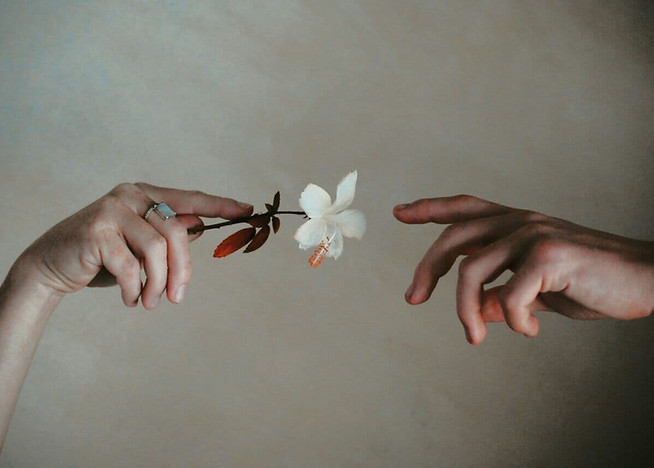 Image by Adalia Botha