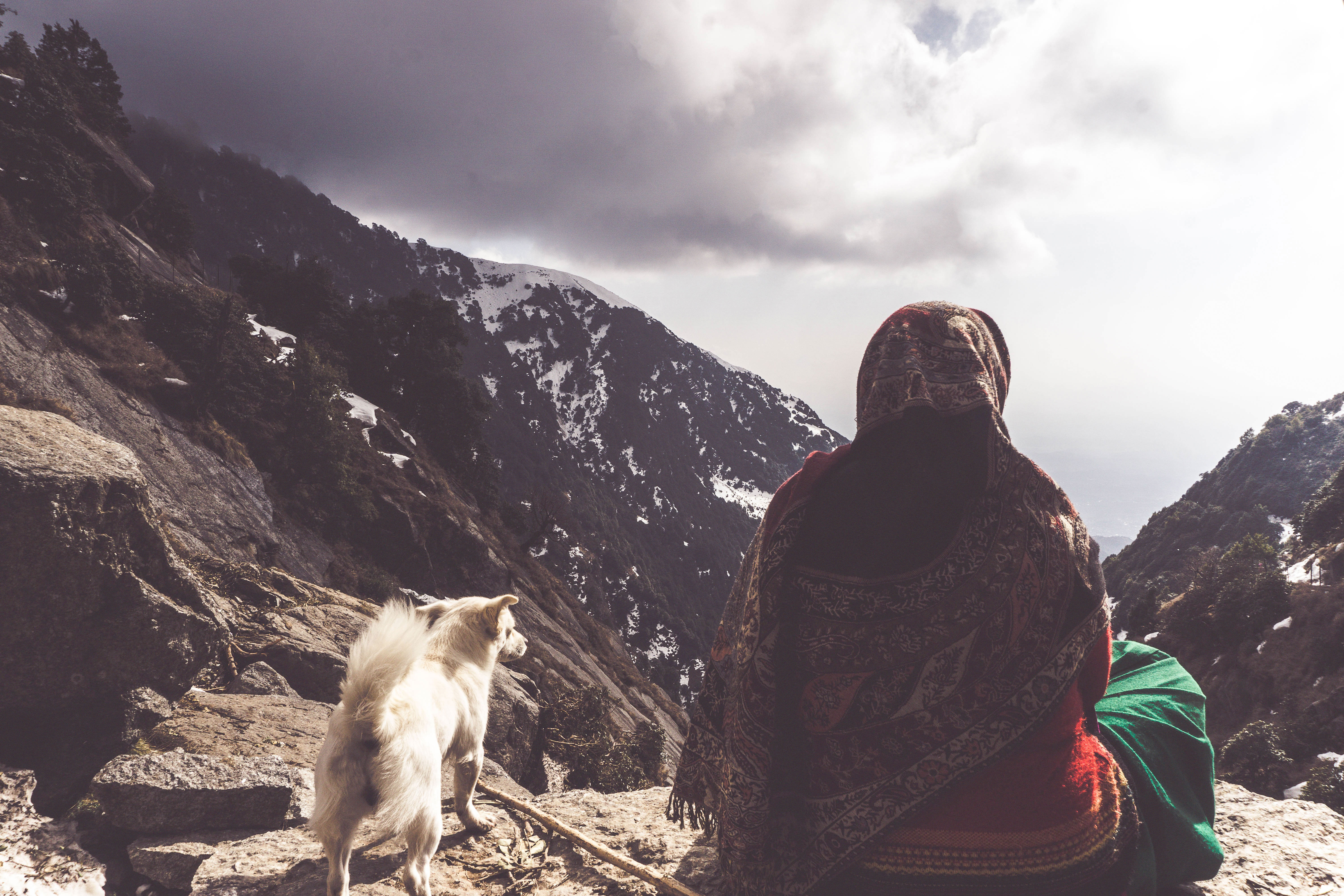 Triund Trek - Wander Lite