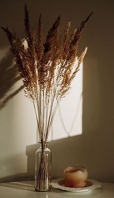 Image de Marius Cern