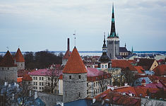 Estonya Startup Vizesi