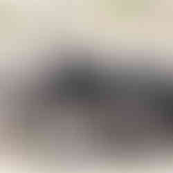 Wildebeest and zebra resting together during Serengeti migration in Ndutu Plains calving season Tanz