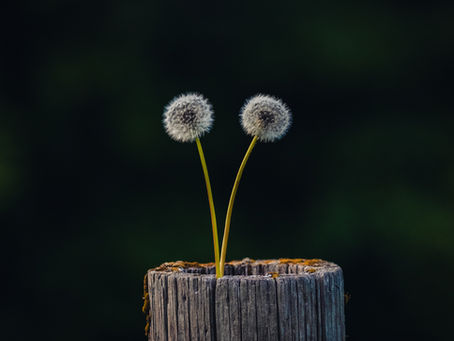 When Growth Creates Distance: Navigating Self-Discovery in Relationships