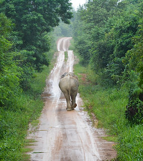 Image by Nienke Burgers