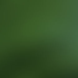 Benelux-Staaten, Frankreich