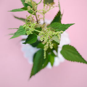 When Things Start Sagging... Grasp the Nettle!