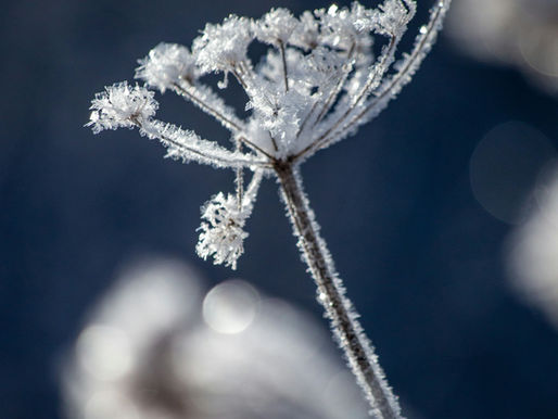 New England's Wrong Seasons