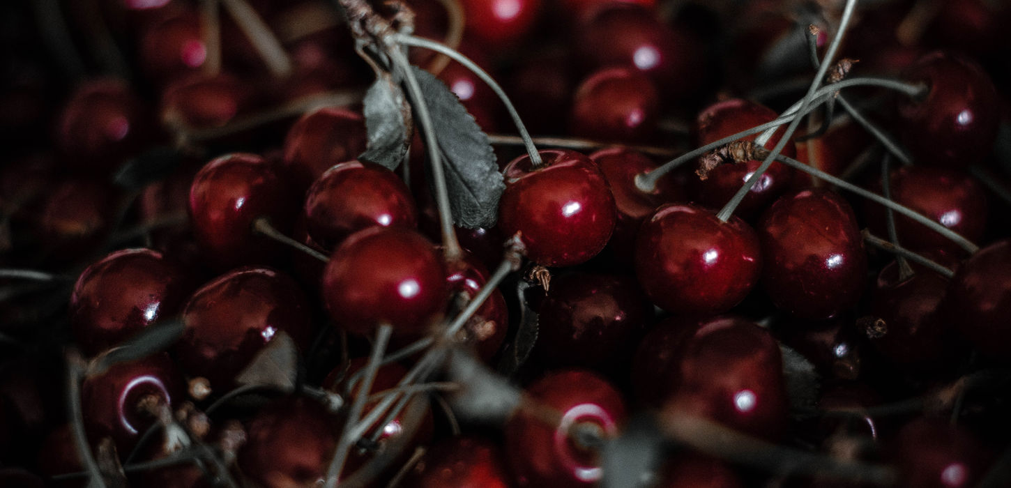 Image by Nika Benedictova
