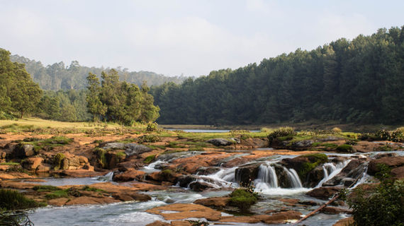 Image by Madhu Gowda BP