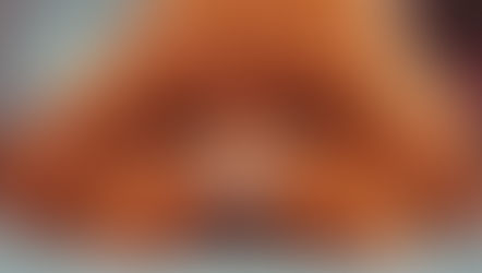 Il cane barboncino: tra una seduta dal toelettatore e l'altra.