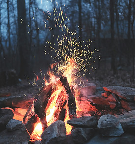 Image by Ayla Meinberg