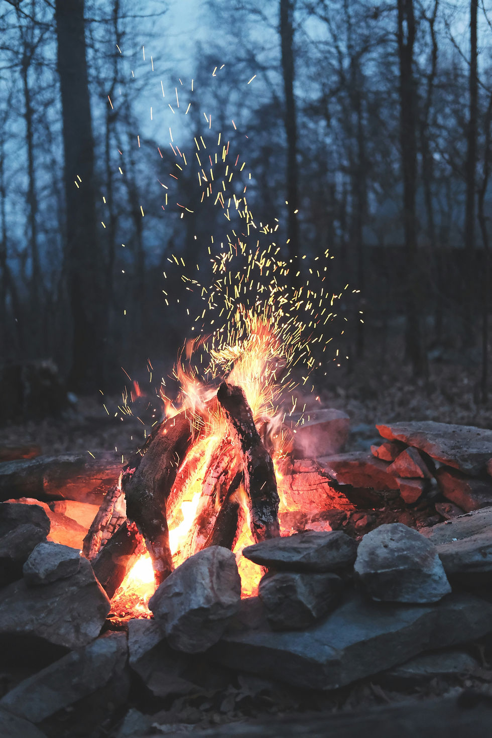 Image by Wren Meinberg