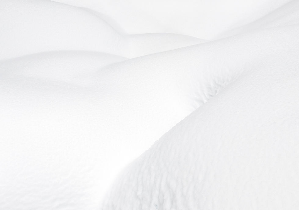 Image by Greg Rosenke
