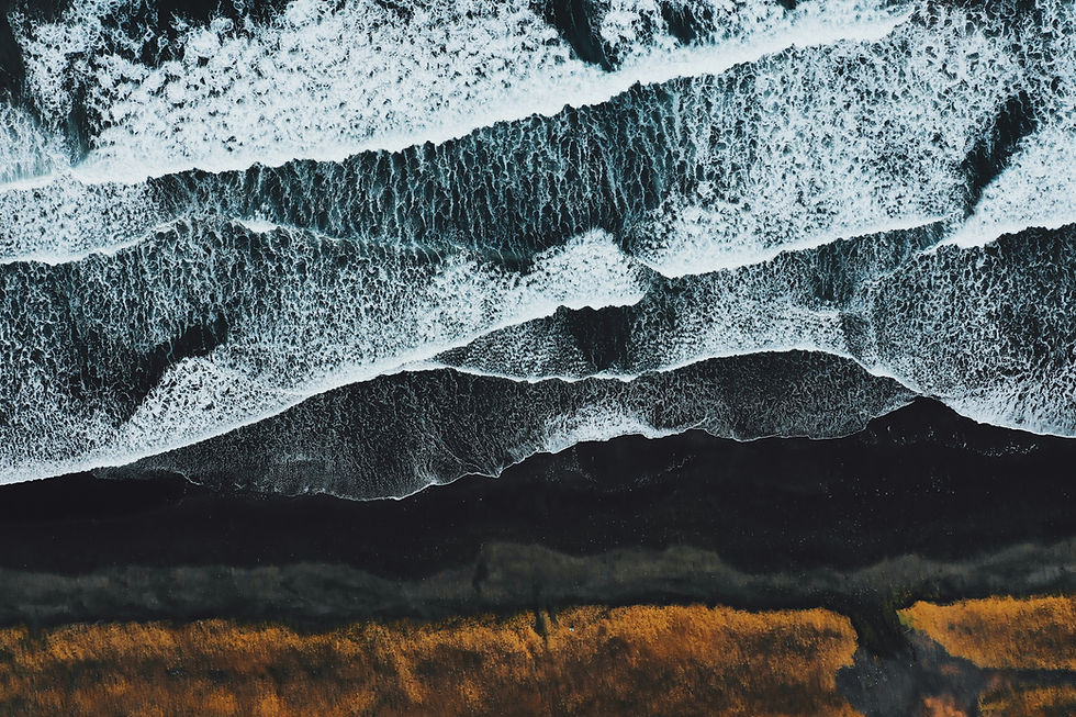 Image by Marco Xu