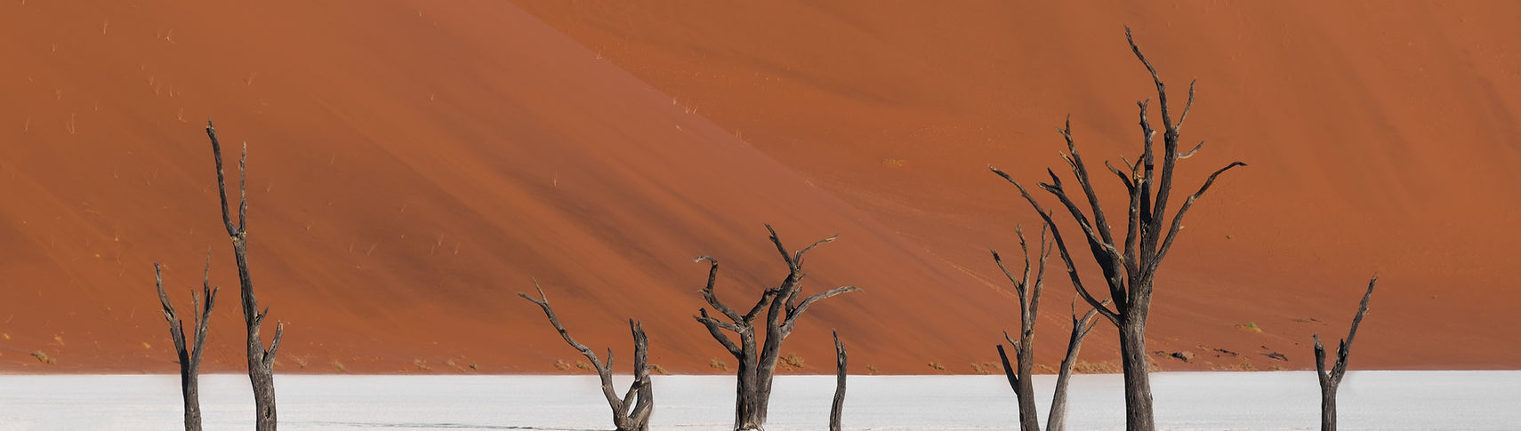 Image by Felipe Labate