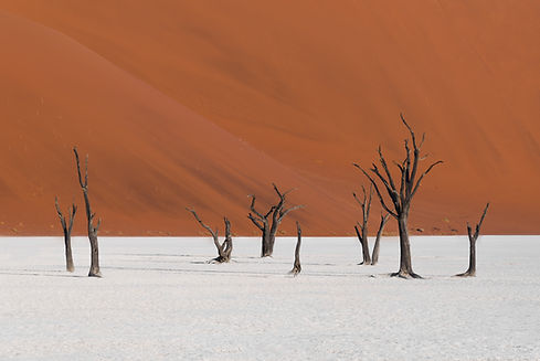 Image by Felipe Labate