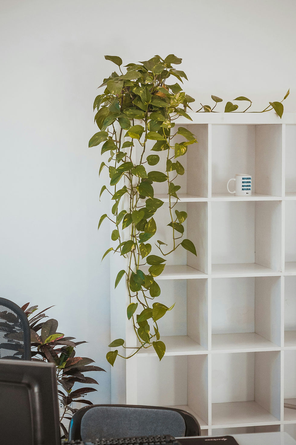 Eco Smart Work place