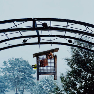 Installer la mangeoire dans un endroit protégé et sécurisé