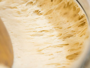 The Future of Fermentation: New Trends and Innovations in the Bakery World