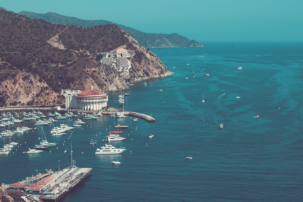 Image by Anthony Mucci