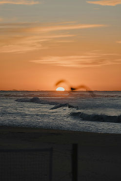 Image de Caleb Smith