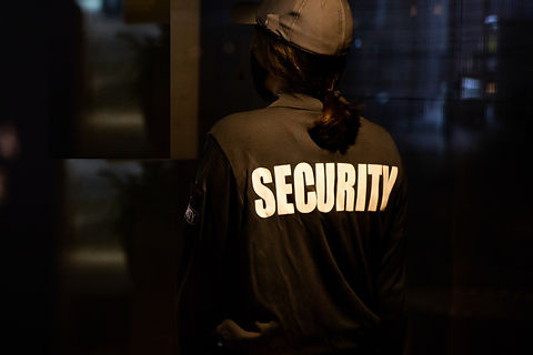 이미지 제공: Flex Point Security