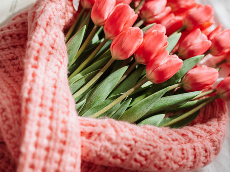 恵みの祈祷会2022.2.16コロサイの信徒への手紙3 章1~4 節(後半)