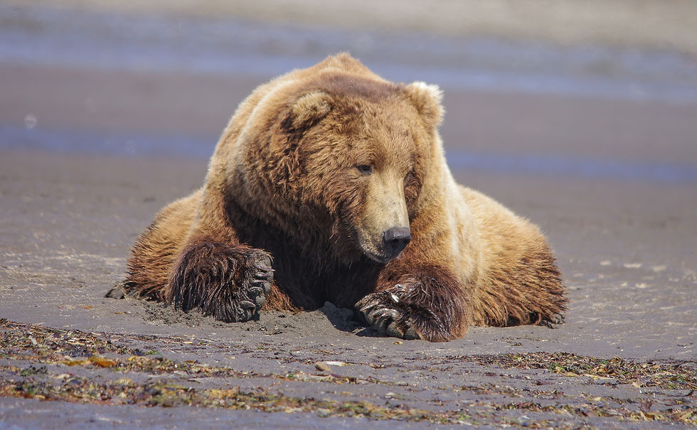 Photo Courtesy of Unsplash Contributor:Bob Brewer