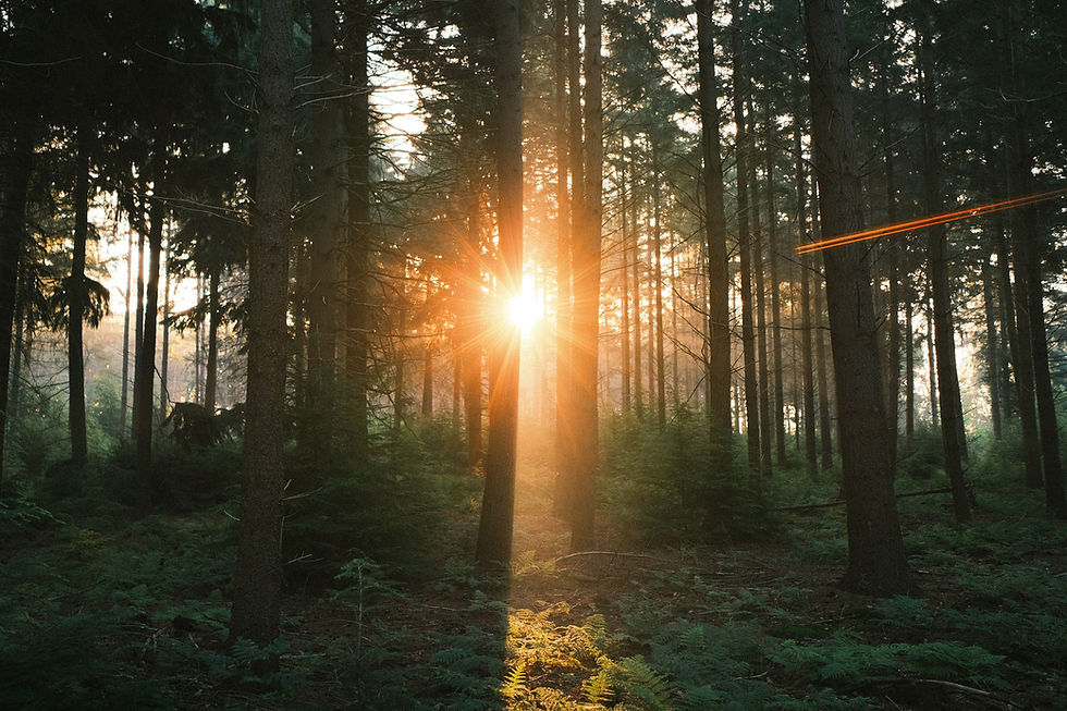 Social Security Tax Law Changes 2025!