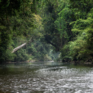 Some of My Teachers Don't Have a LinkedIn Profile