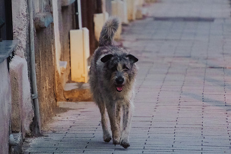 Image by Onur Çayır
