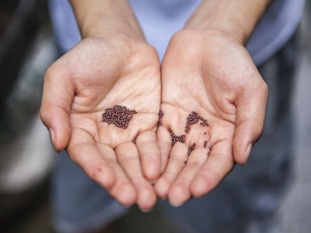 Burnout Seeds Are Planted at Home