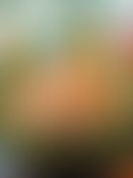 Karfreitag – Tradition, Besinnlichkeit und ein Fischbuffet für den Abend