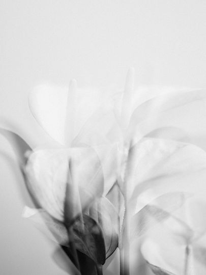Image by Annie Spratt