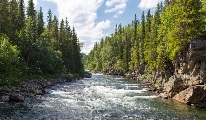 The Wilderness of Gäddede, Sweden