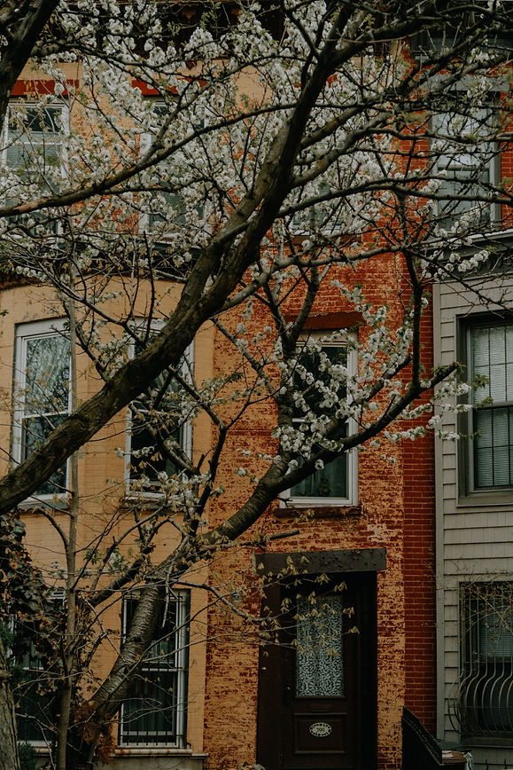 Image by Ashe Walker