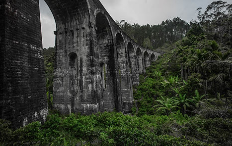 Image by Oleg Illarionov