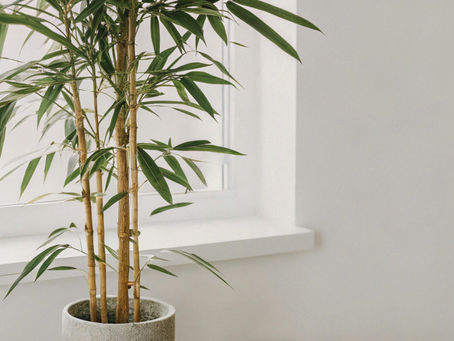 箴言29章18節をいただいて