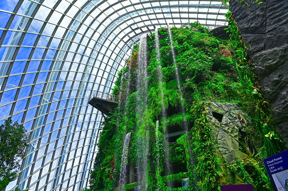 Cloud Forest, Gardens By The Bay