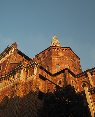 Image by Francesca Rizzo