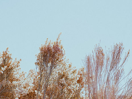 Image de Munro Studio
